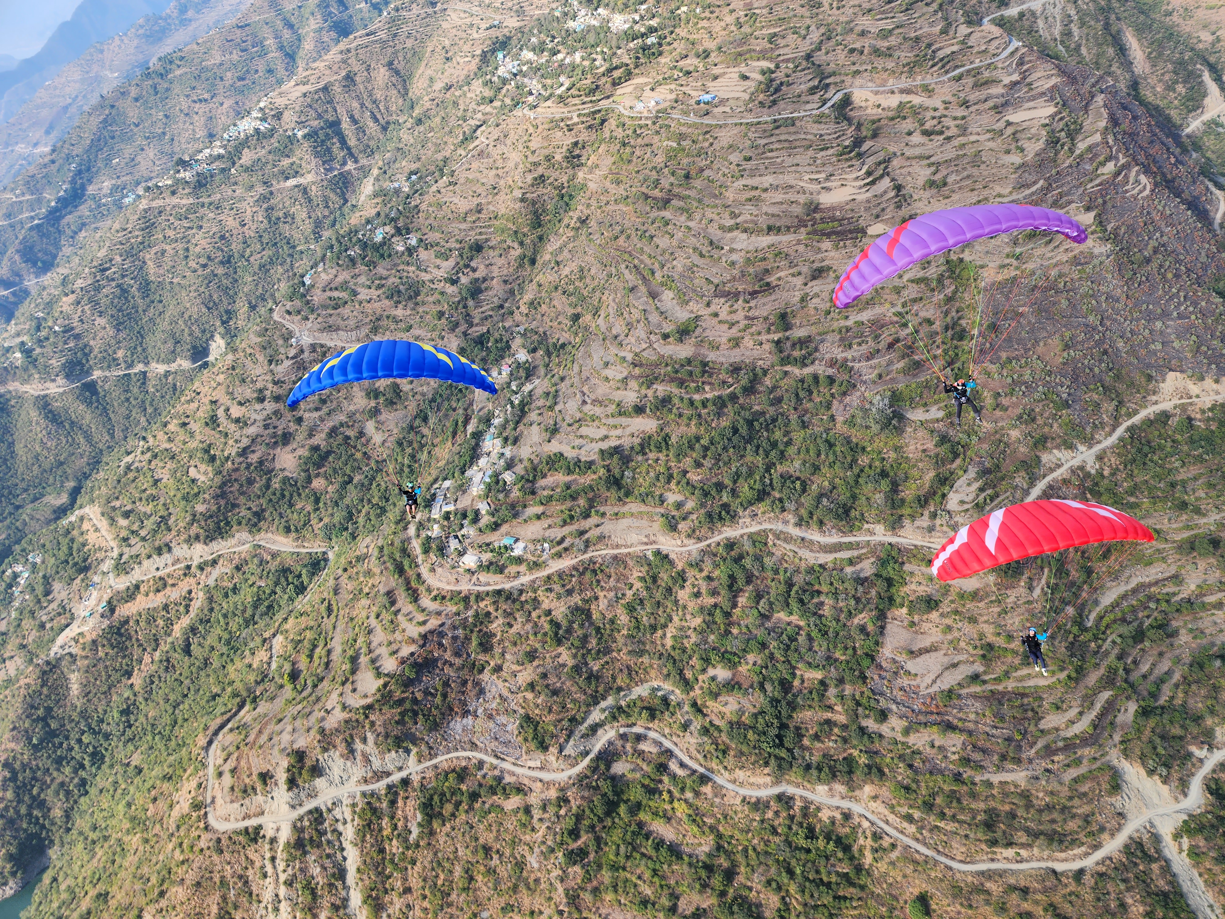 Davinci Gliders Doremi