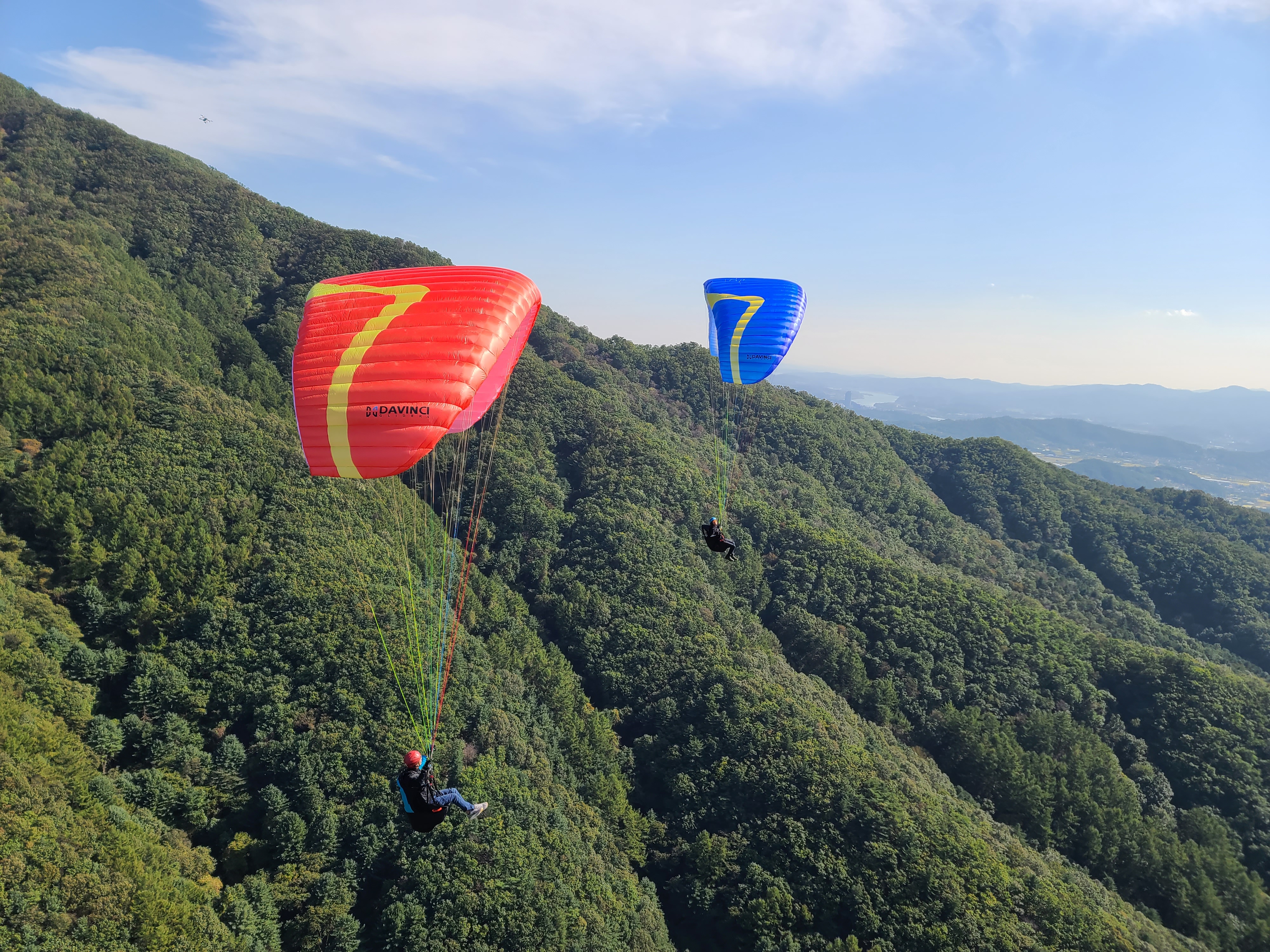 Davinci Gliders Hula