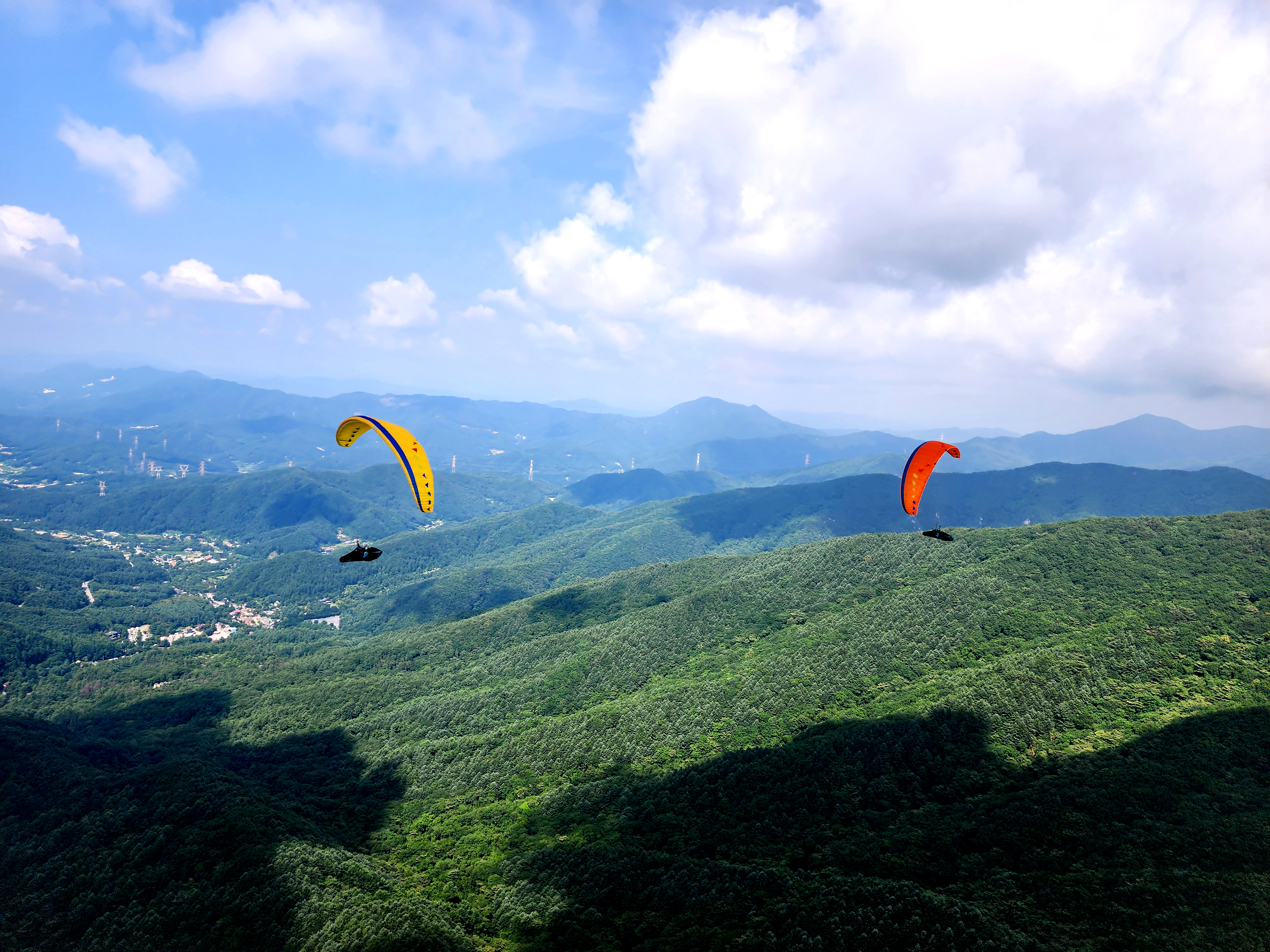 Davinci Gliders Mambo