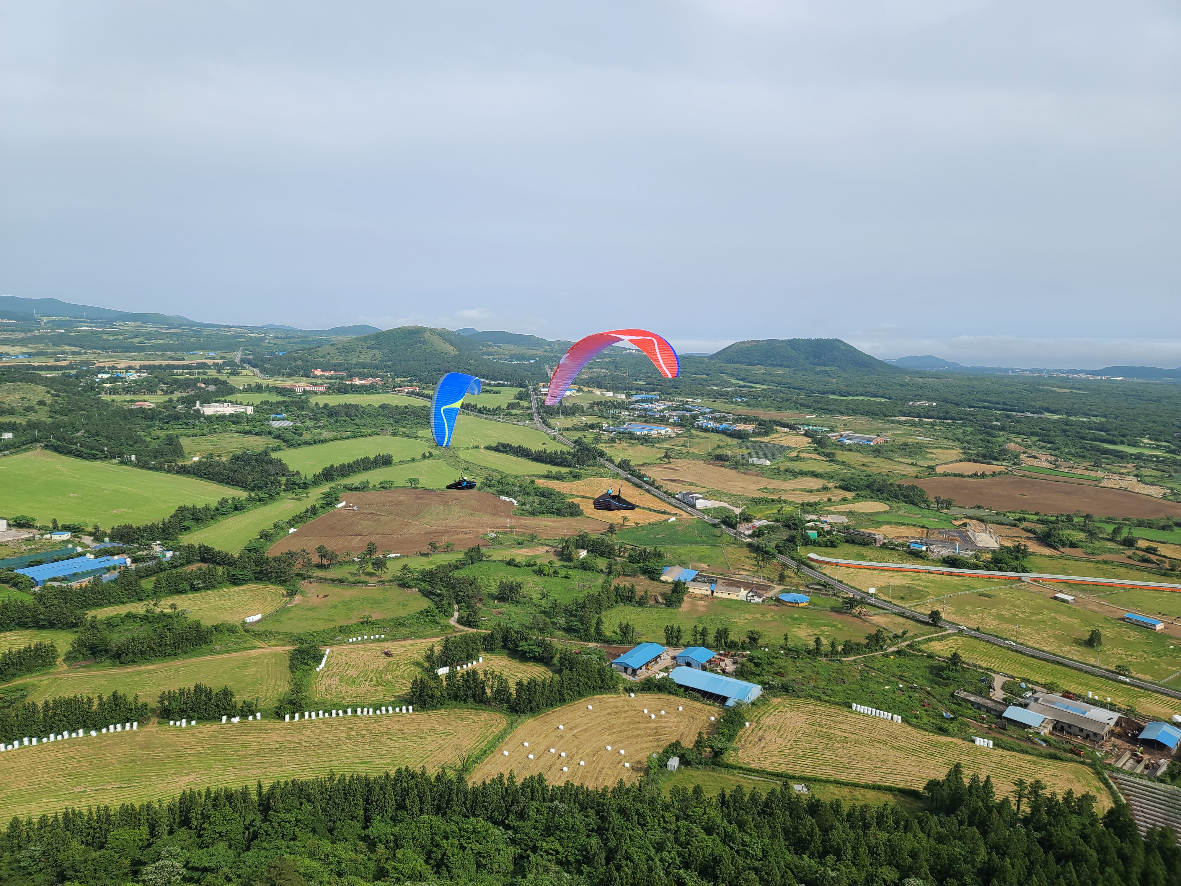 Davinci Gliders Tango