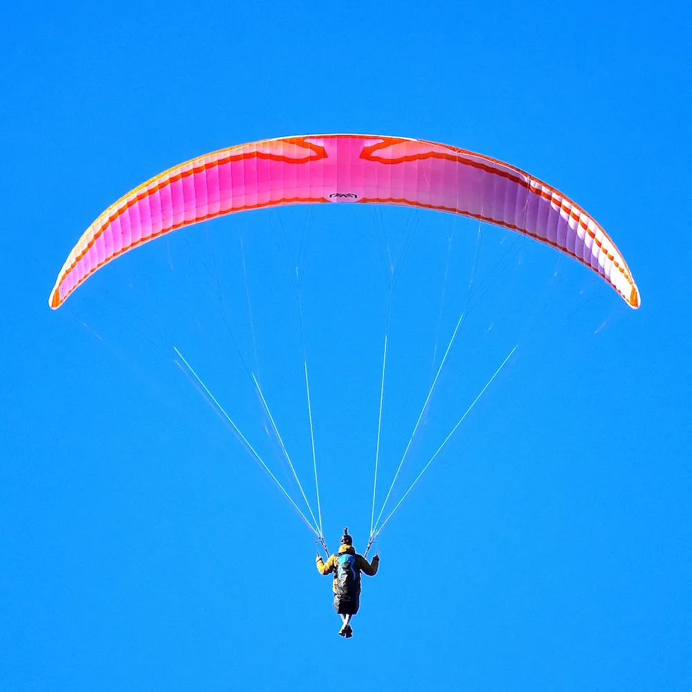 Level Wings Falcon