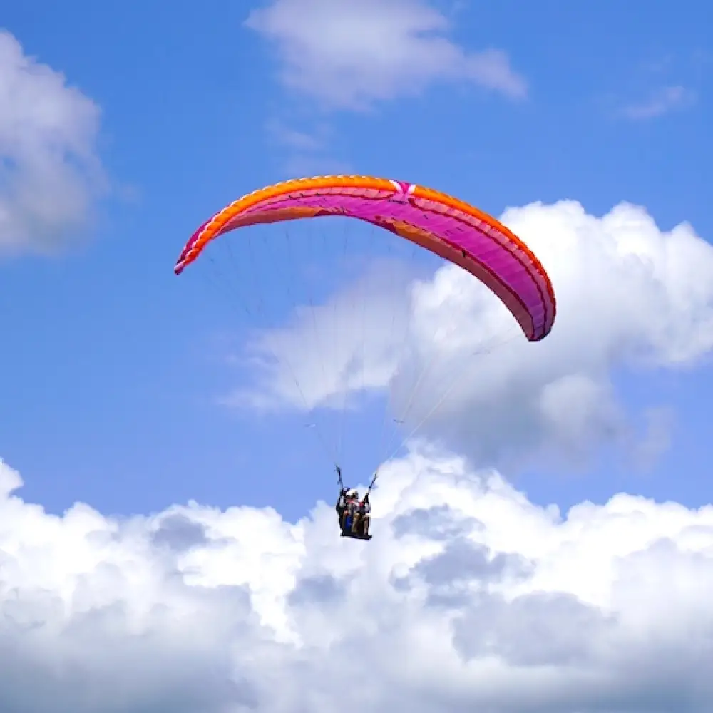 Level Wings Wind Force