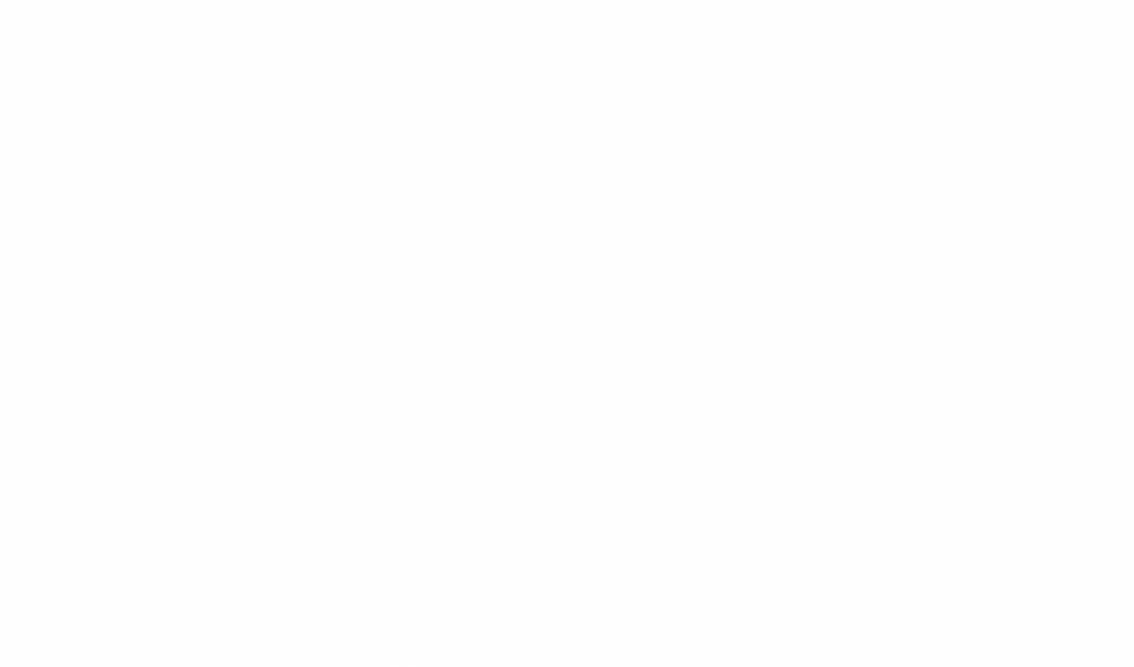 Little Cloud La Mouette