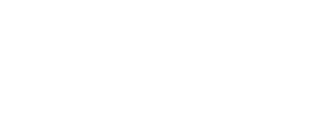 Little Cloud The Spiruline Pro