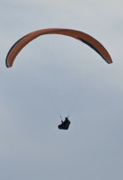 Niviuk Artik 5, Large, 2017, (105-125kg), 130h