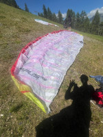 Swing Apus, 18, 2018, (55-110kg), 30h