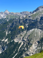 Swing Apus, 18, 2018, (55-110kg), 30h