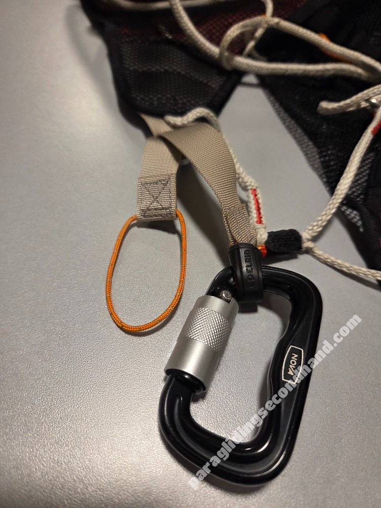 Nova Montis, L, 2021