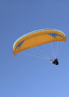 Swing Mito 2RS, SM, 2022, (78-100kg), 20h