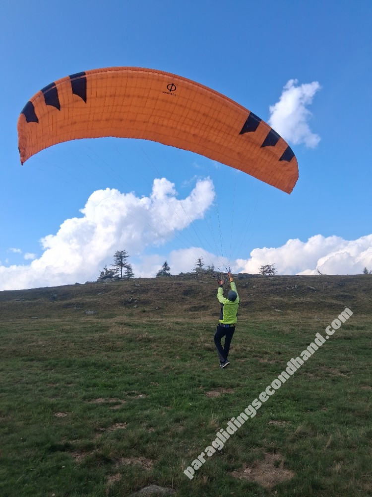 Phi Maestro2, 21, 2024, (75-95kg), 75h