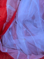 Advance Sigma DLS, 26, 2024, (92-114kg), 67h