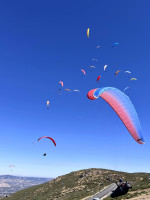 Skywalk Range X-Alps 2, L, 2019