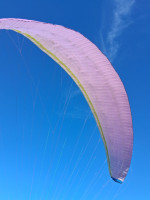 Nova Sector, M, 2019, (90-110kg), 180h