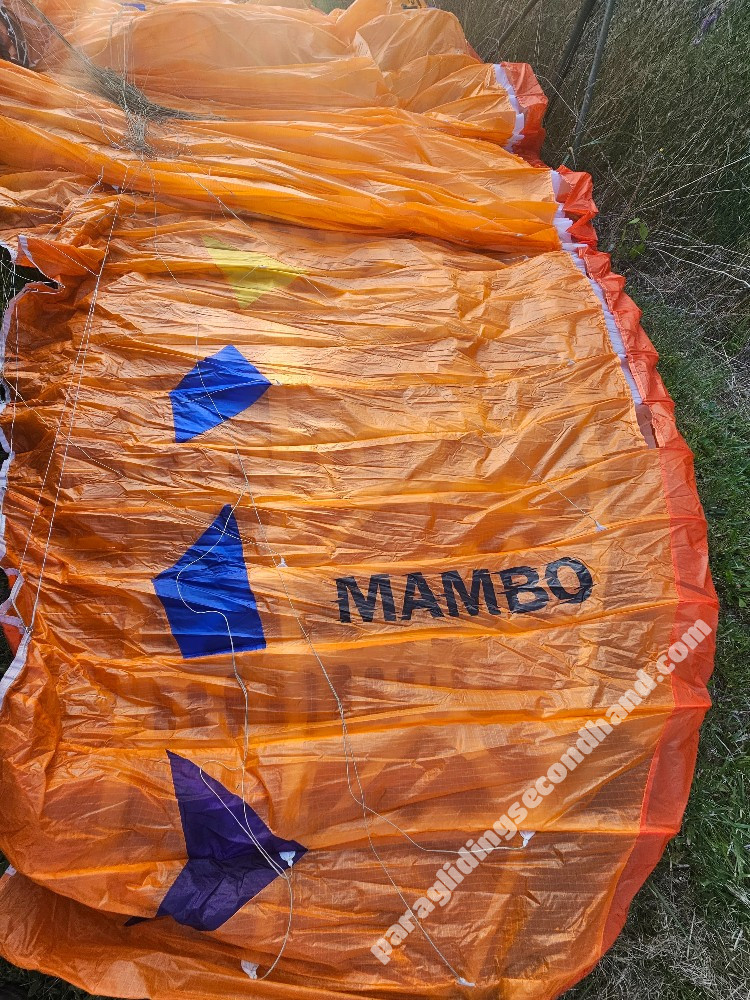 Davinci Gliders Mambo, M, 2025, (85-105kg), 80h