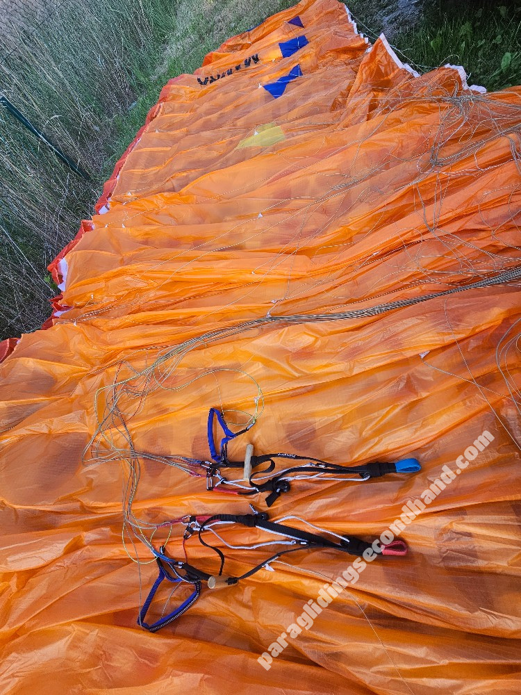 Davinci Gliders Mambo, M, 2025, (85-105kg), 80h