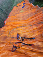 Davinci Gliders Mambo, M, 2025, (85-105kg), 80h