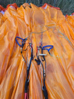 Davinci Gliders Mambo, M, 2025, (85-105kg), 80h