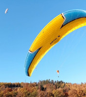 Niviuk Niviuk Artik 5-26 Gold, 26, 2018, (90-110kg), 70h