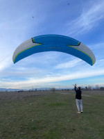 Niviuk Artik 5, 24, 2018, (75-95kg), 250h