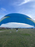 Niviuk Artik 5, 24, 2018, (75-95kg), 250h