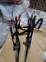 Swing Stellar, 65-85, 2024, (65-85kg), 10h