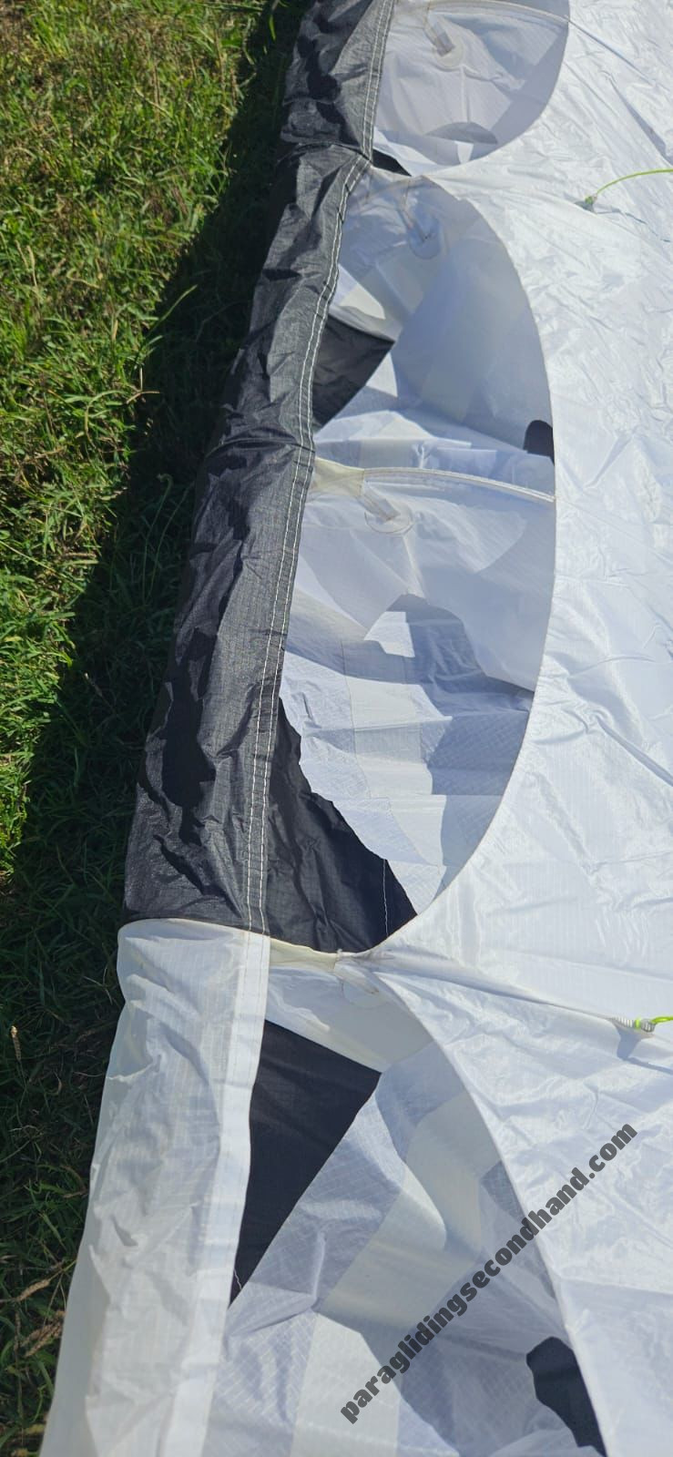 UP RIMO, S, 2022, (4-5kg), 300h