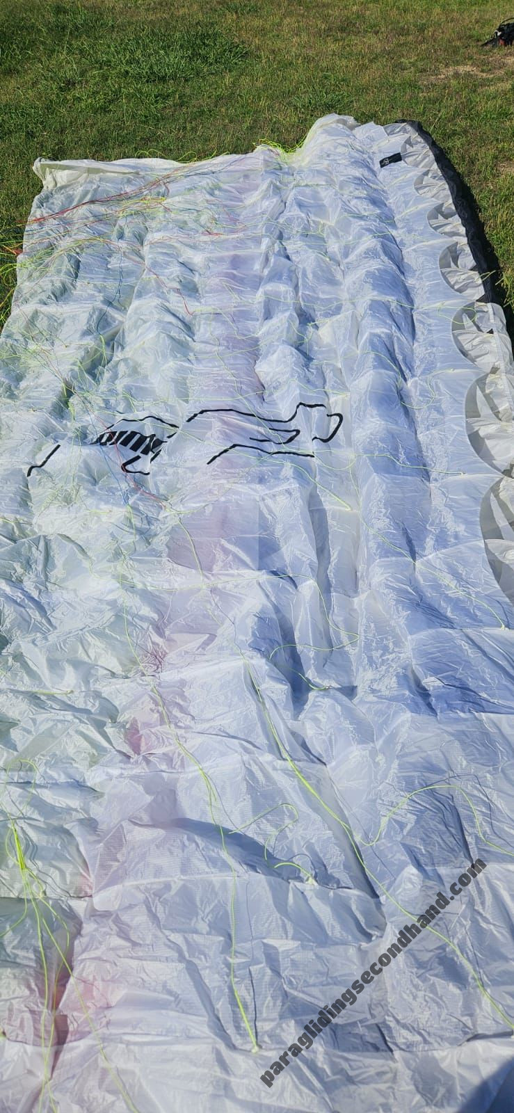 UP RIMO, S, 2022, (4-5kg), 300h