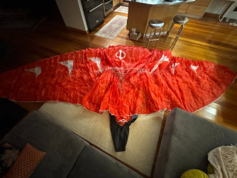 Phi Scala Light, 18, 2022, (65-85kg), 30h