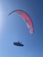 BGD DIVA 2, ML, 2025, (88-108kg), 10h