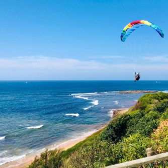 U-Turn Blackout +, 21, 2022, (1-2kg), 55h