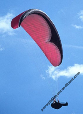 Nova Artax, L, 2003, (100-130kg), 0h