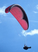 Nova Artax, L, 2003, (100-130kg), 0h