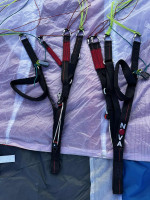 Nova Artax, L, 2003, (100-130kg), 0h