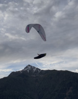 BogdanFly Zeppelin, L