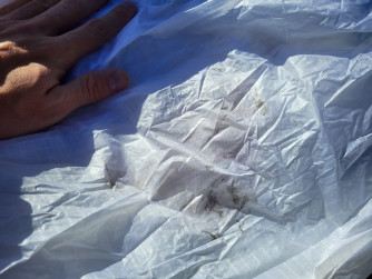 Air Design Susi 3, 18, 2019, (50-97kg), 100h