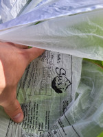 Air Design Susi 3, 18, 2019, (50-97kg), 100h