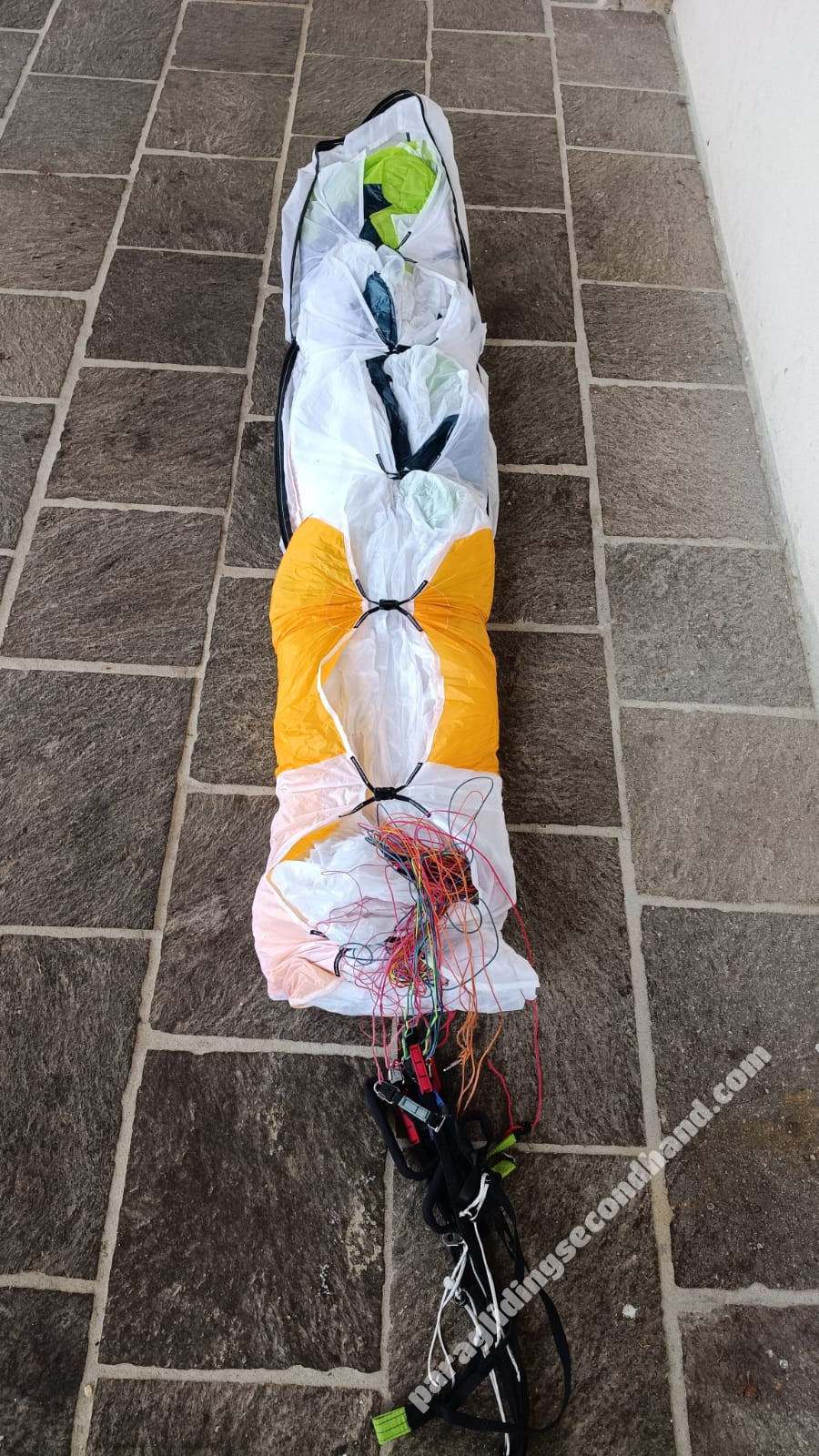 Swing Verso, XXS, 2024, (55-100kg), 1h