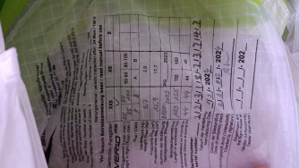 Swing Verso, XXS, 2024, (55-100kg), 1h