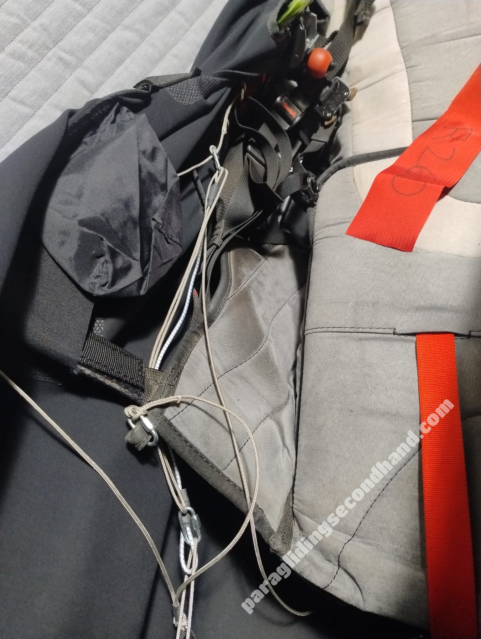 Woody Valley X-Rated 7, L, 2020