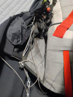 Woody Valley X-Rated 7, L, 2020