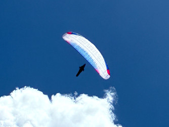 Advance Theta ULS, 25, 2024, (78-99kg), 16h