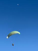 Ozone Mojo 2, M-L, 2013, (80-100kg), 50h