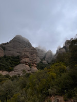 Ozone buzz6, s, 2021, (50-65kg), 10h