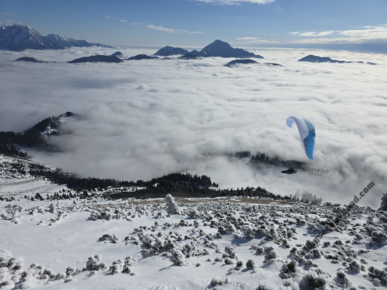 Skywalk Sage, 95, 2025, (75-95kg), 17h