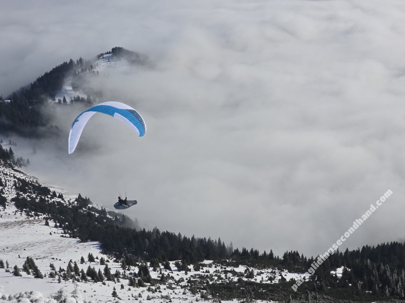 Skywalk Sage, 95, 2025, (75-95kg), 17h