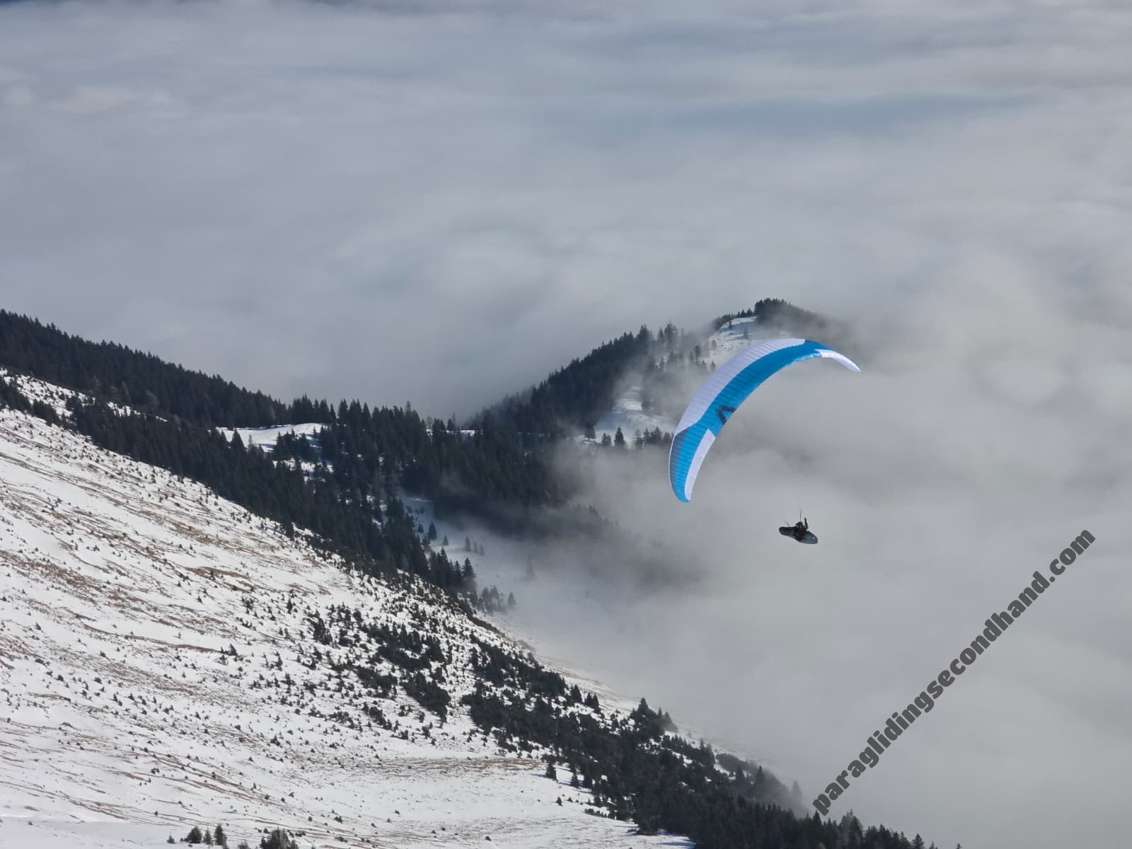 Skywalk Sage, 95, 2025, (75-95kg), 17h