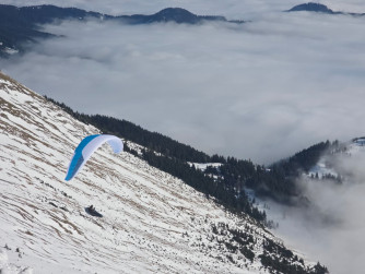 Skywalk Sage, 95, 2025, (75-95kg), 17h