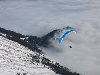 Skywalk Sage, 95, 2025, (75-95kg), 17h