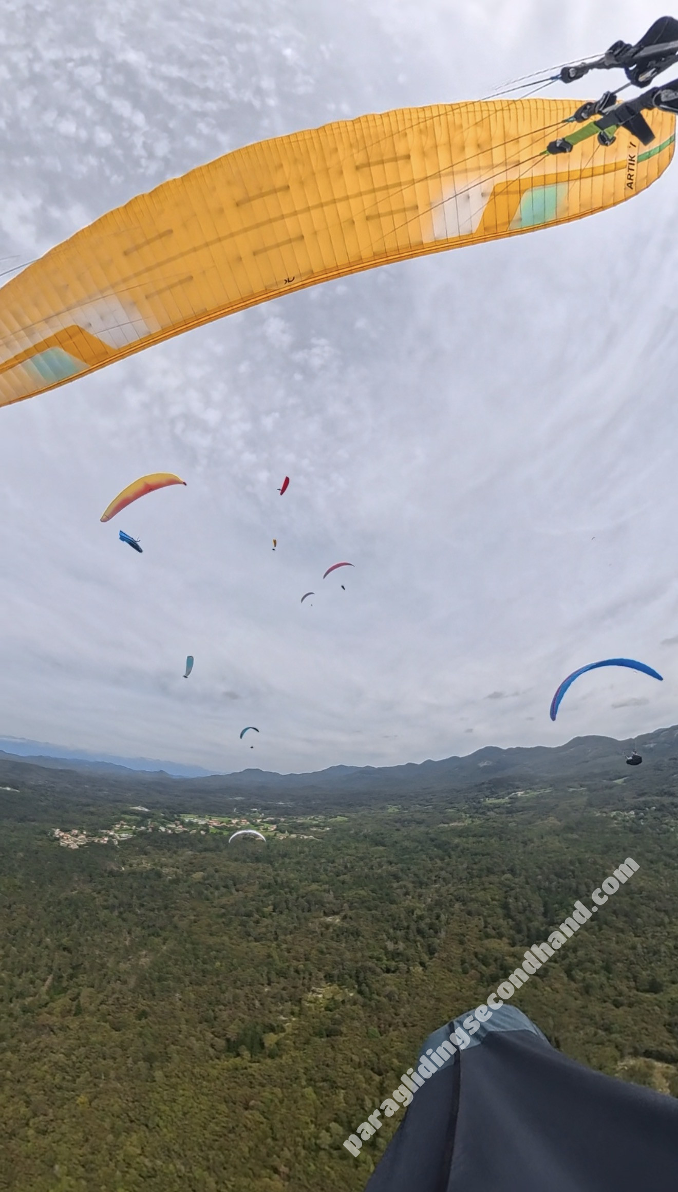 Niviuk Artik 7p, 23, 2025, (75-95kg), 60h