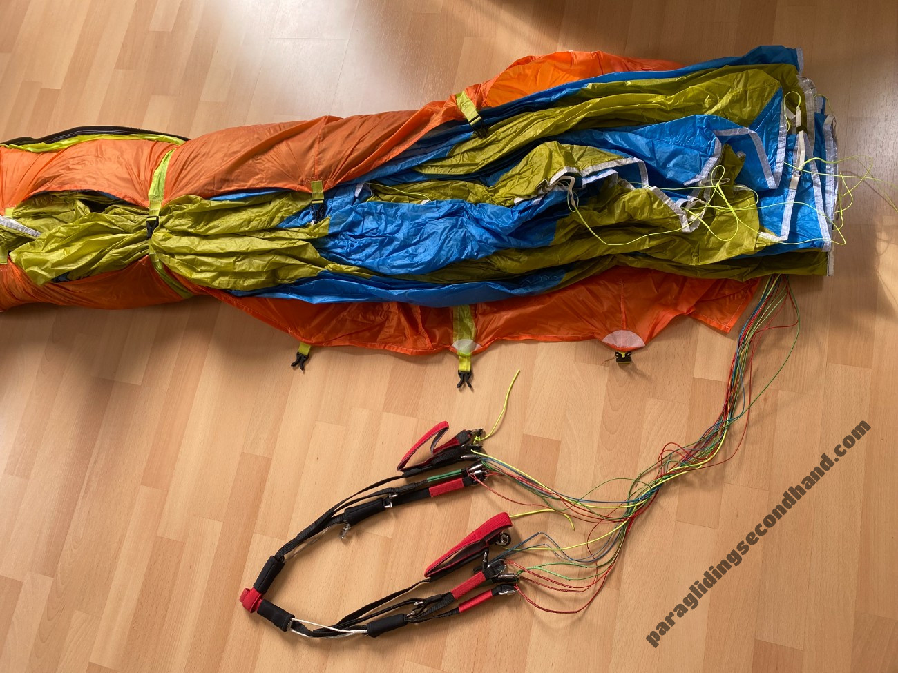 Phi Symphonia, 20, 2018, (65-85kg), 40h